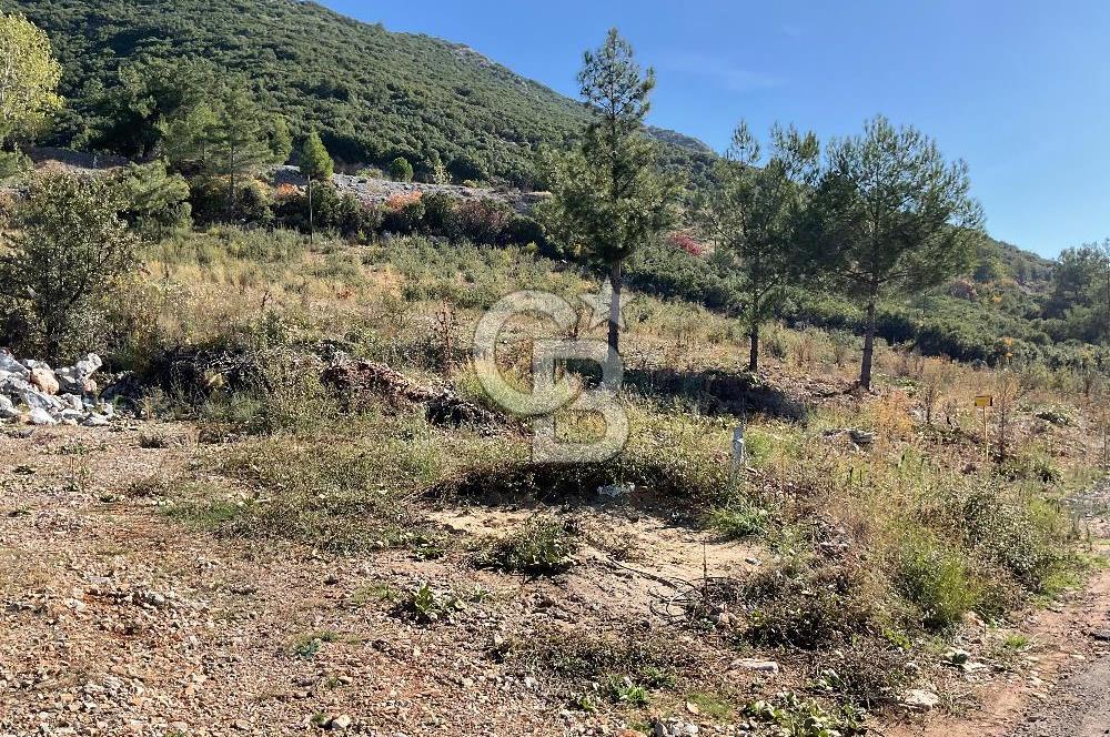 Muğla Menteşe Gülağzı Mahallesi Kolçak Mevkii Satılık İmarlı Arsa