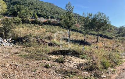 Muğla Menteşe Gülağzı Mahallesi Kolçak Mevkii Satılık İmarlı Arsa