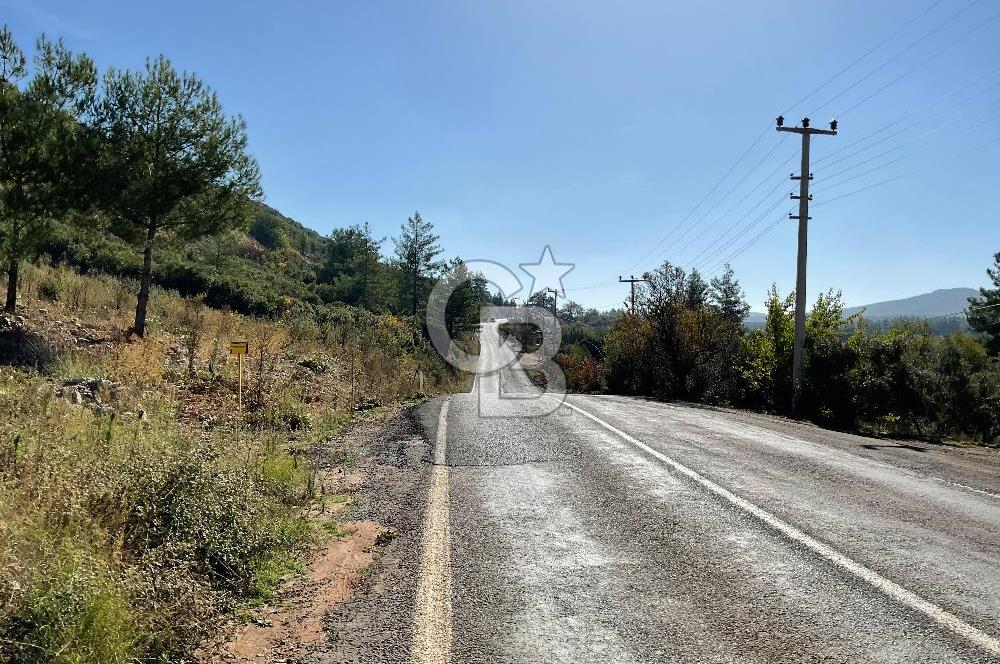Muğla Menteşe Gülağzı Mahallesi Kolçak Mevkii Satılık İmarlı Arsa