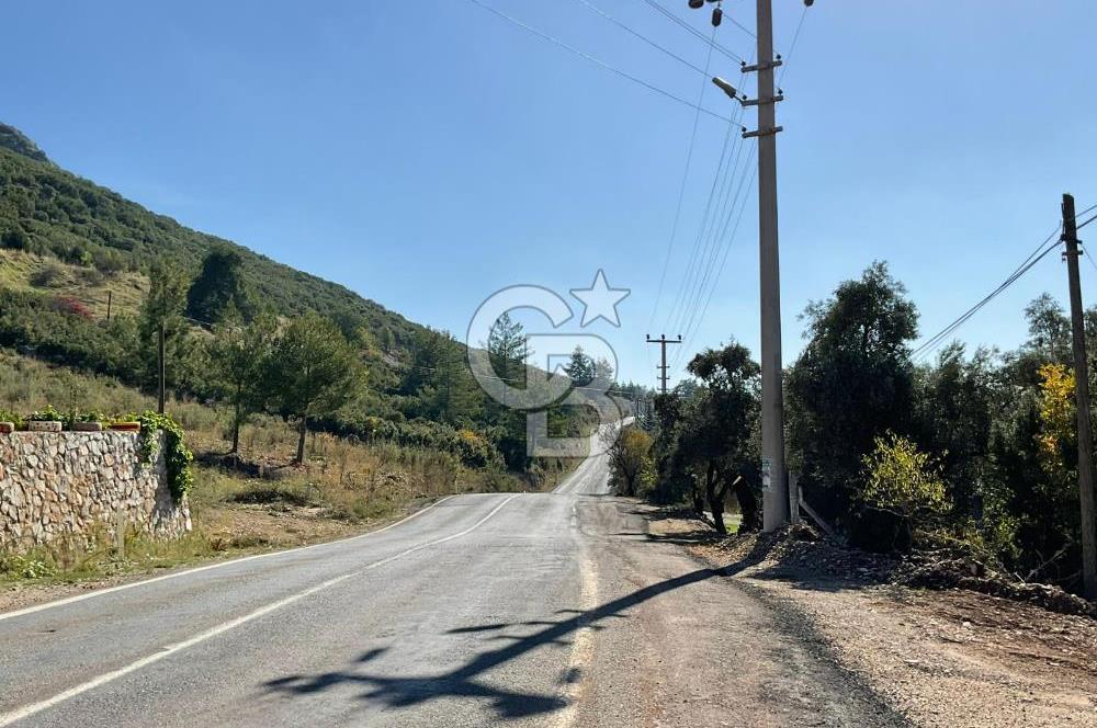 Muğla Menteşe Gülağzı Mahallesi Kolçak Mevkii Satılık İmarlı Arsa
