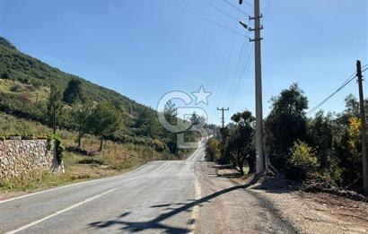 Muğla Menteşe Gülağzı Mahallesi Kolçak Mevkii Satılık İmarlı Arsa