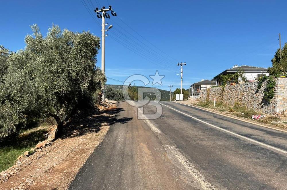 Muğla Menteşe Gülağzı Mahallesi Kolçak Mevkii Satılık İmarlı Arsa