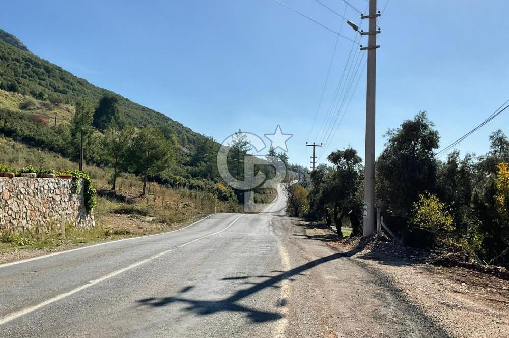 Muğla Menteşe Gülağzı Mahallesi Kolçak Mevkii Satılık İmarlı Arsa