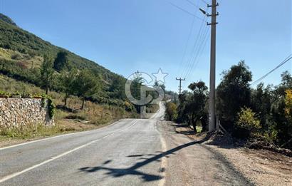 Muğla Menteşe Gülağzı Mahallesi Kolçak Mevkii Satılık İmarlı Arsa