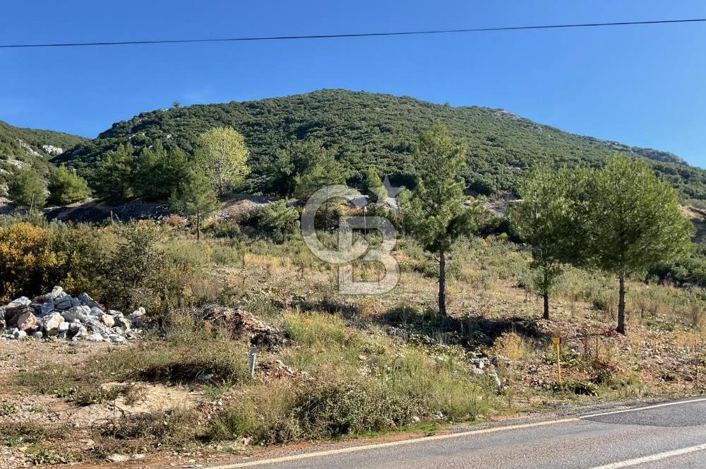 Muğla Menteşe Gülağzı Mahallesi Kolçak Mevkii Satılık İmarlı Arsa