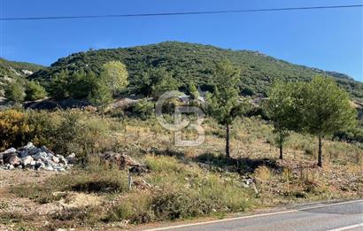 Muğla Menteşe Gülağzı Mahallesi Kolçak Mevkii Satılık İmarlı Arsa