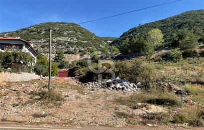 Muğla Menteşe Gülağzı Mahallesi Kolçak Mevkii Satılık İmarlı Arsa