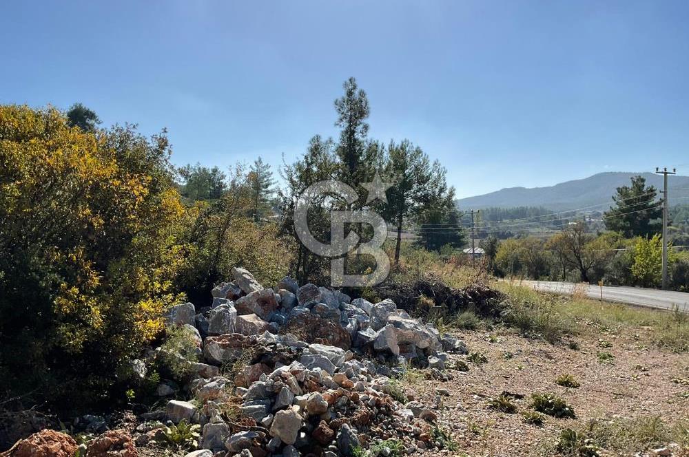 Muğla Menteşe Gülağzı Mahallesi Kolçak Mevkii Satılık İmarlı Arsa