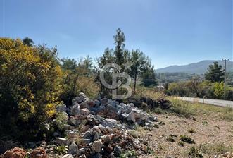 Muğla Menteşe Gülağzı Mahallesi Kolçak Mevkii Satılık İmarlı Arsa