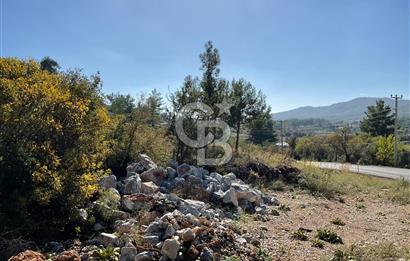 Muğla Menteşe Gülağzı Mahallesi Kolçak Mevkii Satılık İmarlı Arsa