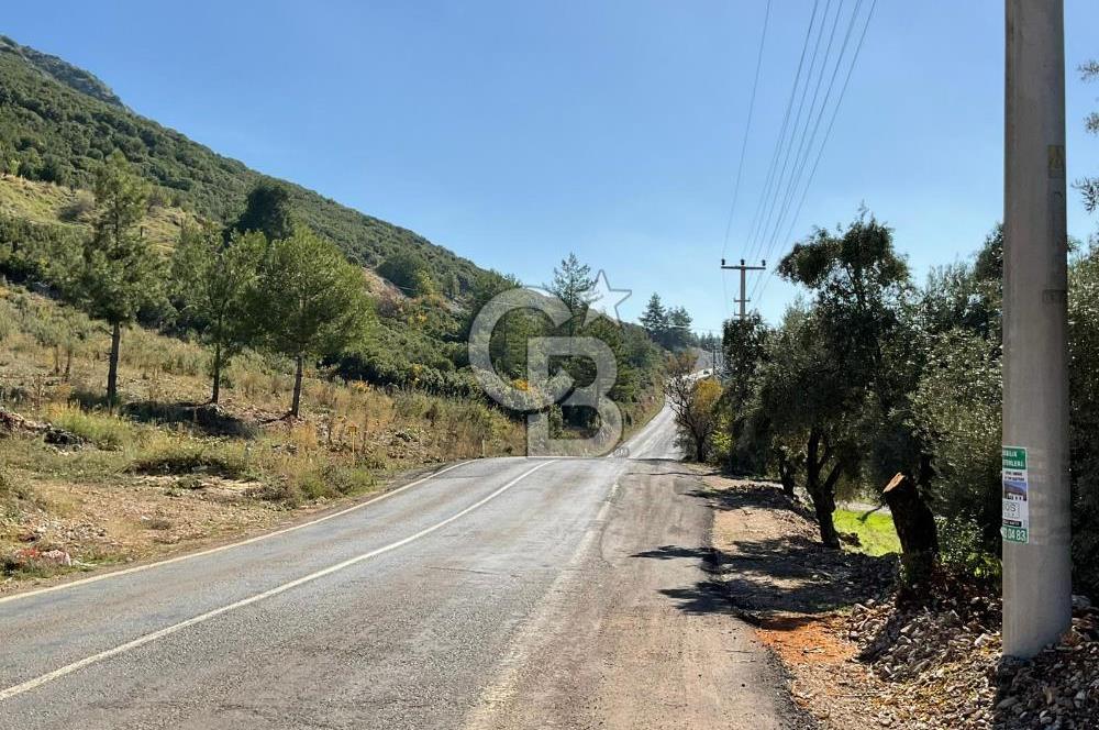 Muğla Menteşe Gülağzı Mahallesi Kolçak Mevkii Satılık İmarlı Arsa