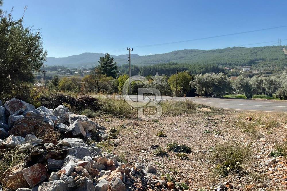Muğla Menteşe Gülağzı Mahallesi Kolçak Mevkii Satılık İmarlı Arsa