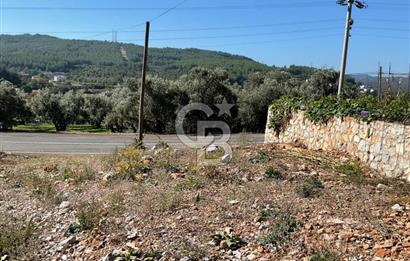 Muğla Menteşe Gülağzı Mahallesi Kolçak Mevkii Satılık İmarlı Arsa