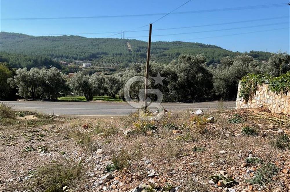 Muğla Menteşe Gülağzı Mahallesi Kolçak Mevkii Satılık İmarlı Arsa
