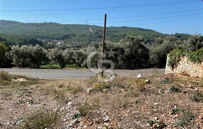 Muğla Menteşe Gülağzı Mahallesi Kolçak Mevkii Satılık İmarlı Arsa