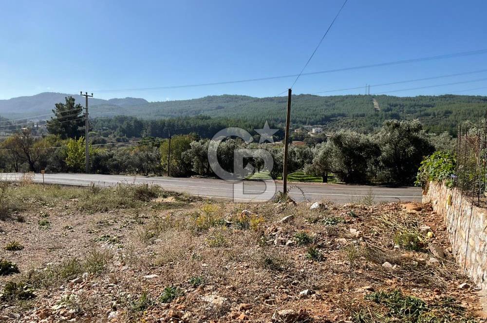 Muğla Menteşe Gülağzı Mahallesi Kolçak Mevkii Satılık İmarlı Arsa