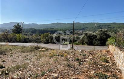 Muğla Menteşe Gülağzı Mahallesi Kolçak Mevkii Satılık İmarlı Arsa