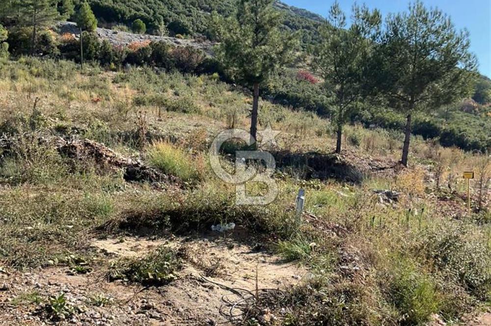 Muğla Menteşe Gülağzı Mahallesi Kolçak Mevkii Satılık İmarlı Arsa