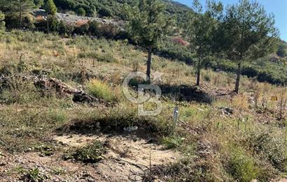 Muğla Menteşe Gülağzı Mahallesi Kolçak Mevkii Satılık İmarlı Arsa