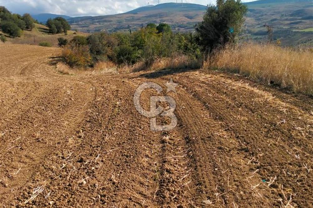 Lapseki Kangırlı'da Boğaz ve1915 Köprüsü Manzaralı Satılık Tarla
