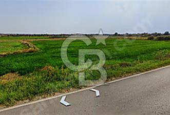 KIRKLARELİ PEHLİVANKÖY KUŞTEPE'DE SATILIK 266 m2 ARSALAR
