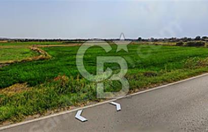 KIRKLARELİ PEHLİVANKÖY KUŞTEPE'DE SATILIK 266 m2 ARSALAR