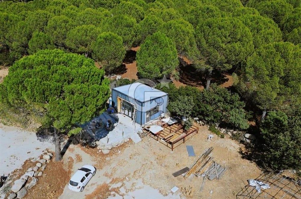 Bergama Demircidere fıstık çamları altın da satılık ev ve arazi