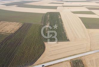 KIRKLARELİ LÜLEBURGAZ AKÇAKÖY KÖYÜ'NDE 47.050 m² SATILIK TARLA