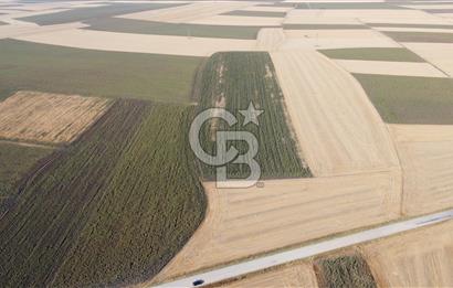 KIRKLARELİ LÜLEBURGAZ AKÇAKÖY KÖYÜ'NDE 47.050 m² SATILIK TARLA