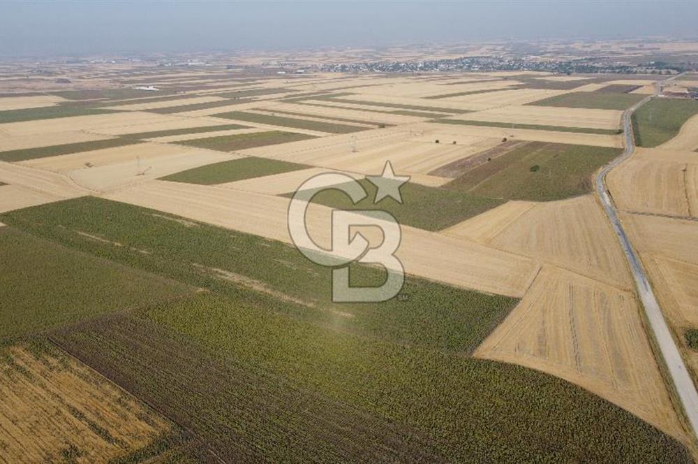 KIRKLARELİ LÜLEBURGAZ AKÇAKÖY KÖYÜ'NDE 47.050 m² SATILIK TARLA