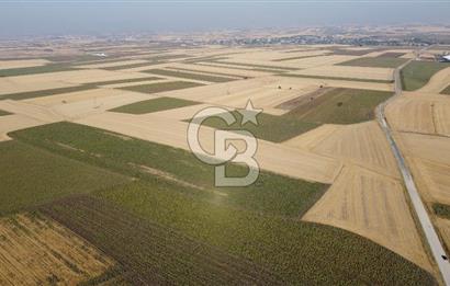 KIRKLARELİ LÜLEBURGAZ AKÇAKÖY KÖYÜ'NDE 47.050 m² SATILIK TARLA