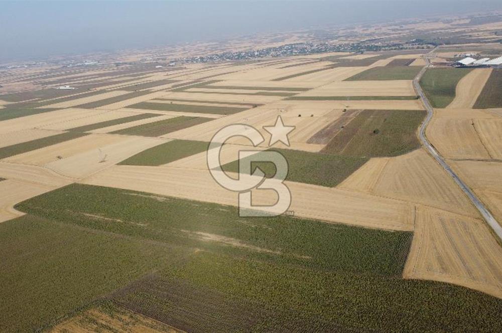 KIRKLARELİ LÜLEBURGAZ AKÇAKÖY KÖYÜ'NDE 47.050 m² SATILIK TARLA