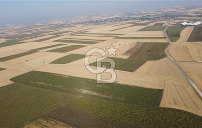 KIRKLARELİ LÜLEBURGAZ AKÇAKÖY KÖYÜ'NDE 47.050 m² SATILIK TARLA