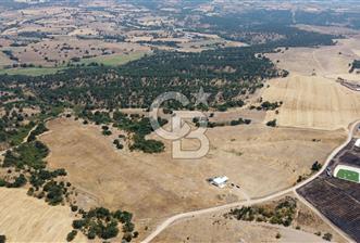 KIRKLARELİ MERKEZ KARAHAMZA KÖYÜNDE SATILIK 79.700 m² TARLA