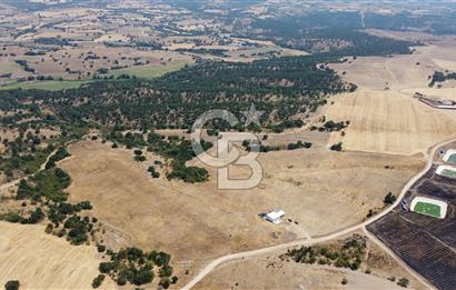 KIRKLARELİ MERKEZ KARAHAMZA KÖYÜNDE SATILIK 79.700 m² TARLA