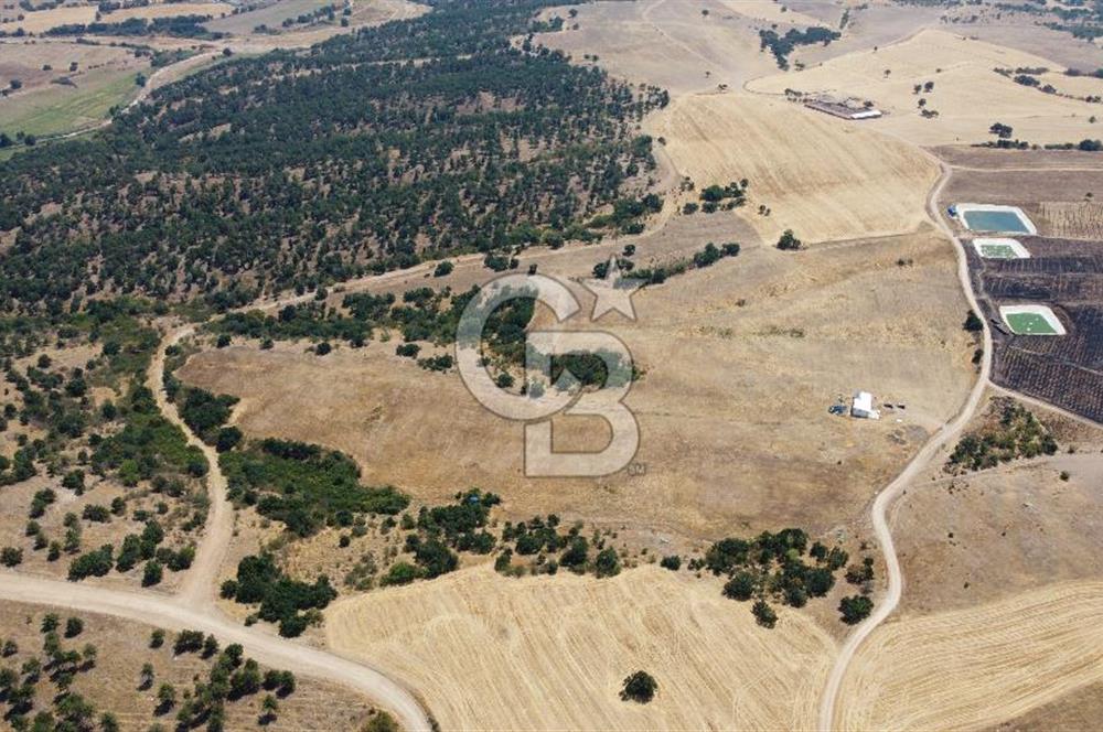 KIRKLARELİ MERKEZ KARAHAMZA KÖYÜNDE SATILIK 79.700 m² TARLA