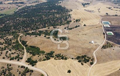 KIRKLARELİ MERKEZ KARAHAMZA KÖYÜNDE SATILIK 79.700 m² TARLA