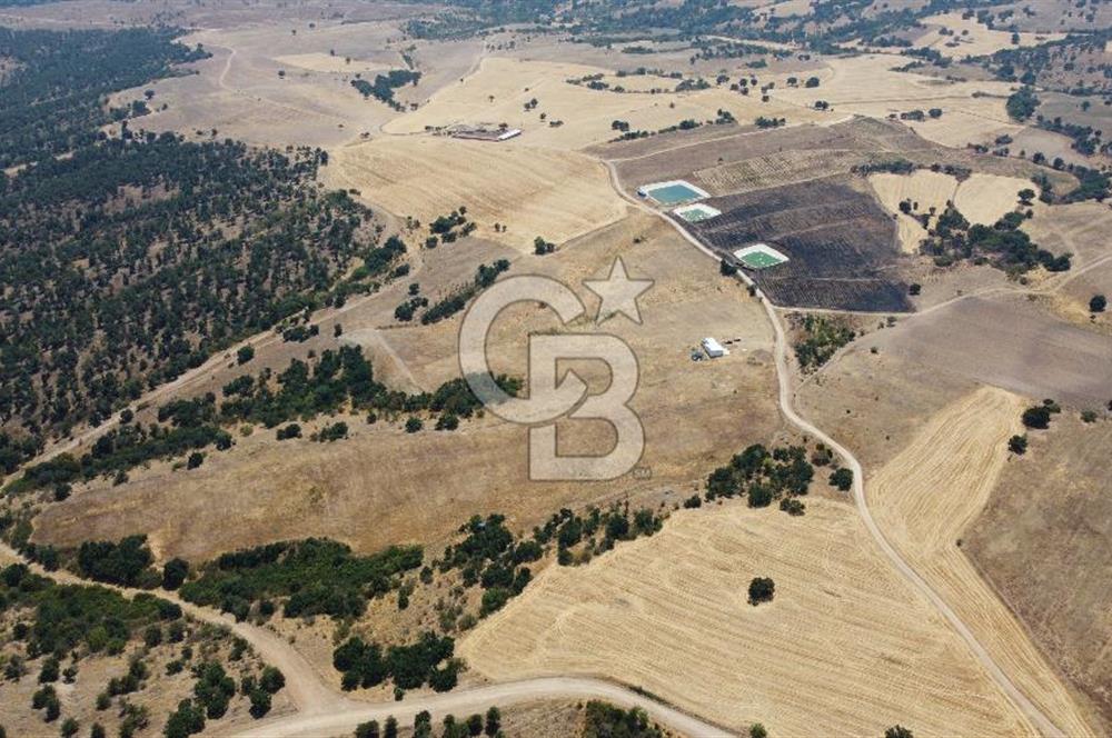 KIRKLARELİ MERKEZ KARAHAMZA KÖYÜNDE SATILIK 79.700 m² TARLA