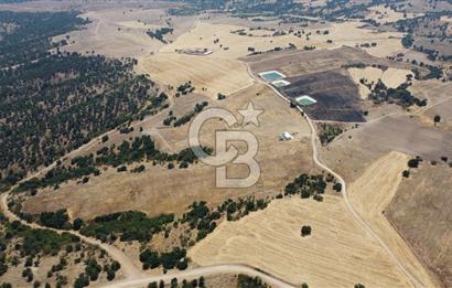 KIRKLARELİ MERKEZ KARAHAMZA KÖYÜNDE SATILIK 79.700 m² TARLA