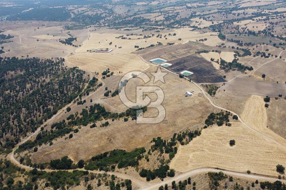 KIRKLARELİ MERKEZ KARAHAMZA KÖYÜNDE SATILIK 79.700 m² TARLA