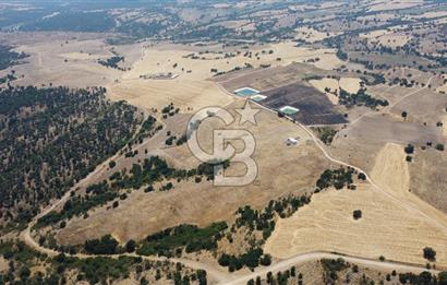 KIRKLARELİ MERKEZ KARAHAMZA KÖYÜNDE SATILIK 79.700 m² TARLA