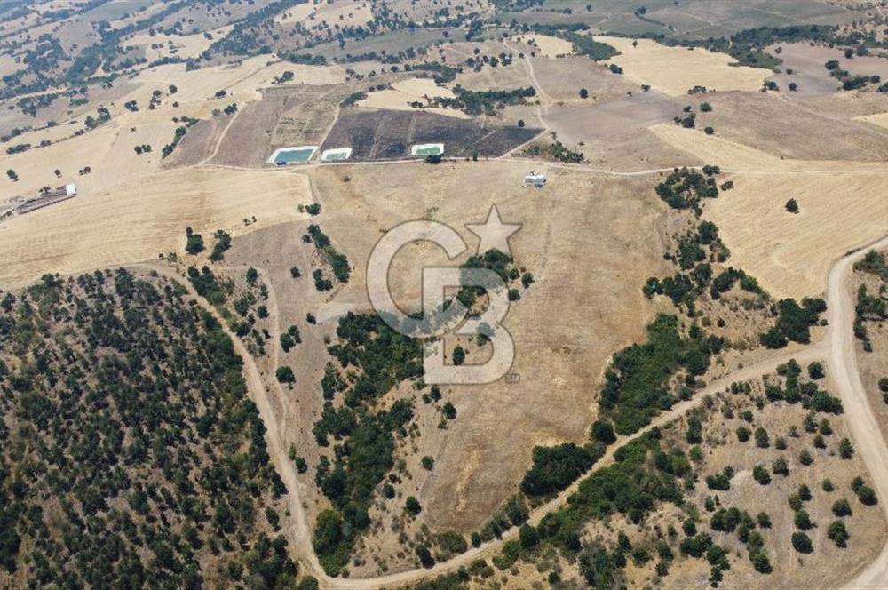 KIRKLARELİ MERKEZ KARAHAMZA KÖYÜNDE SATILIK 79.700 m² TARLA