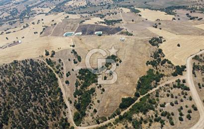 KIRKLARELİ MERKEZ KARAHAMZA KÖYÜNDE SATILIK 79.700 m² TARLA