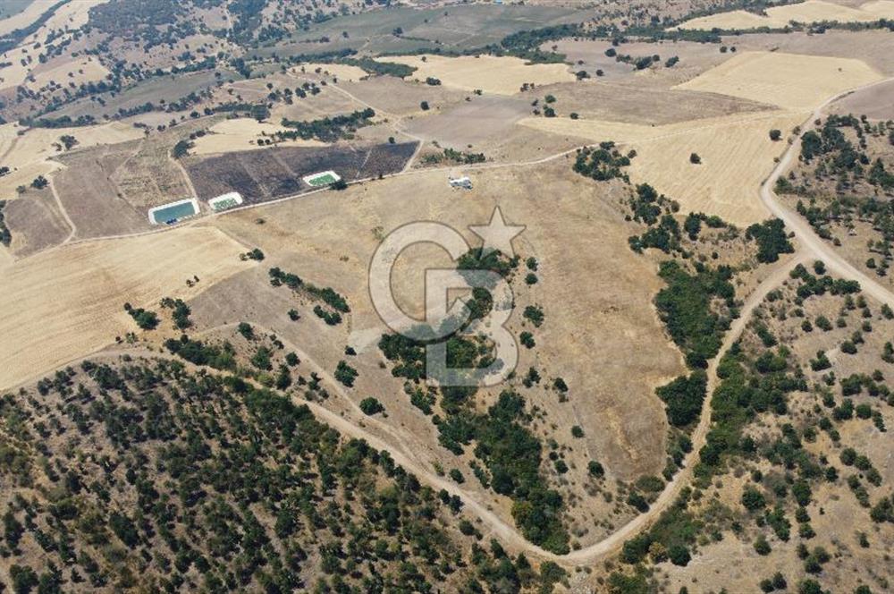 KIRKLARELİ MERKEZ KARAHAMZA KÖYÜNDE SATILIK 79.700 m² TARLA