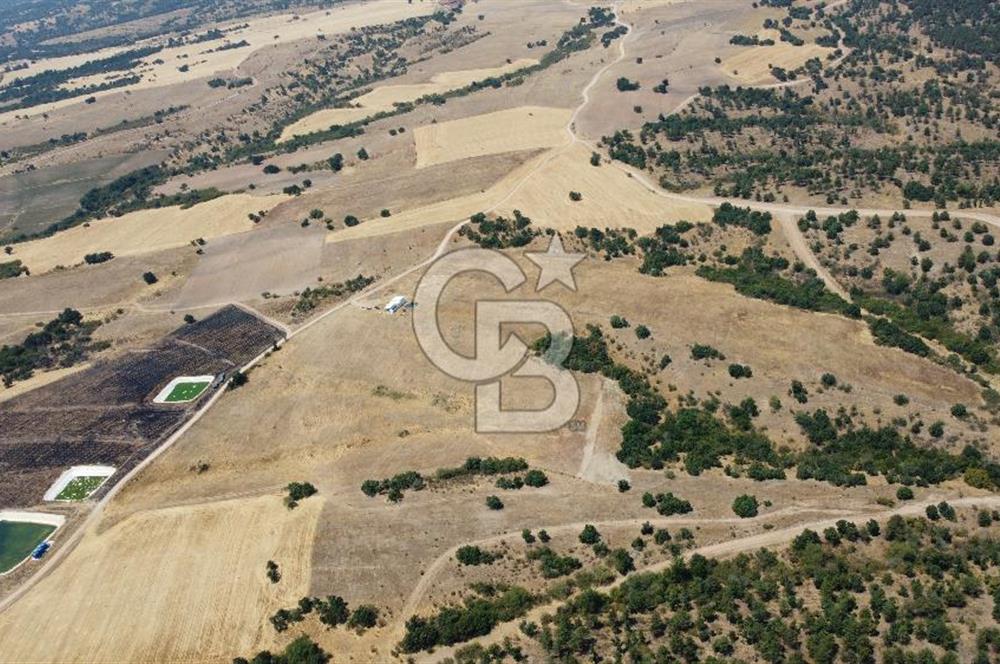 KIRKLARELİ MERKEZ KARAHAMZA KÖYÜNDE SATILIK 79.700 m² TARLA