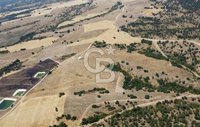 KIRKLARELİ MERKEZ KARAHAMZA KÖYÜNDE SATILIK 79.700 m² TARLA