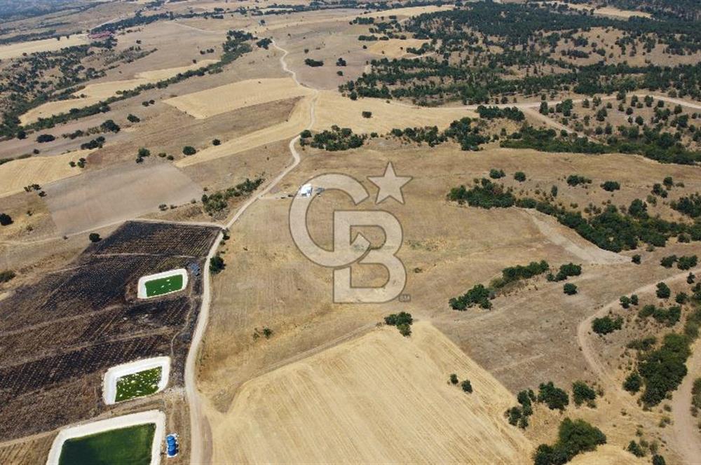 KIRKLARELİ MERKEZ KARAHAMZA KÖYÜNDE SATILIK 79.700 m² TARLA