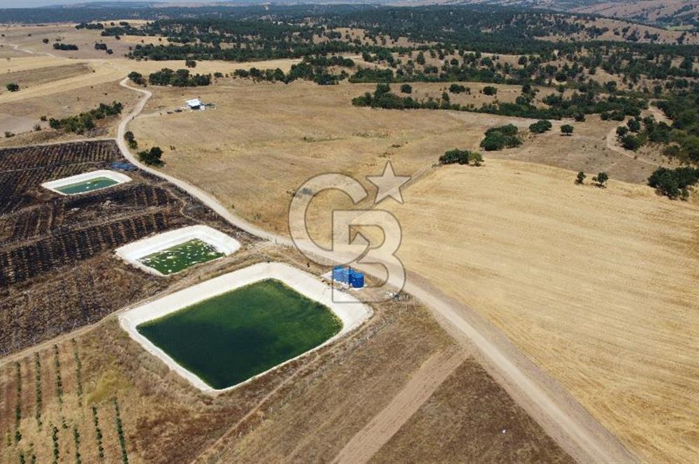 KIRKLARELİ MERKEZ KARAHAMZA KÖYÜNDE SATILIK 79.700 m² TARLA