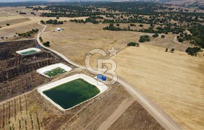 KIRKLARELİ MERKEZ KARAHAMZA KÖYÜNDE SATILIK 79.700 m² TARLA