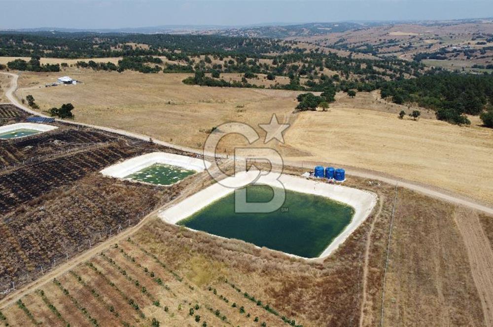 KIRKLARELİ MERKEZ KARAHAMZA KÖYÜNDE SATILIK 79.700 m² TARLA